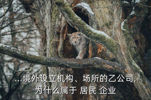 ...境外設(shè)立機(jī)構(gòu)、場(chǎng)所的乙公司,為什么屬于 居民 企業(yè)