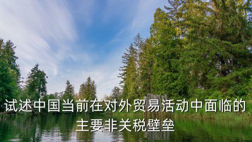 試述中國當(dāng)前在對外貿(mào)易活動中面臨的主要非關(guān)稅壁壘