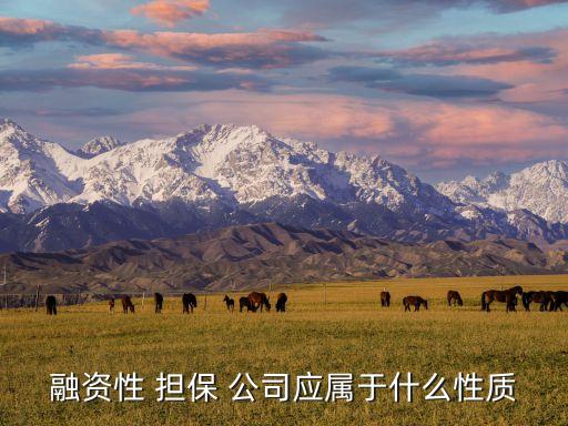 融資性 擔保 公司應屬于什么性質(zhì)