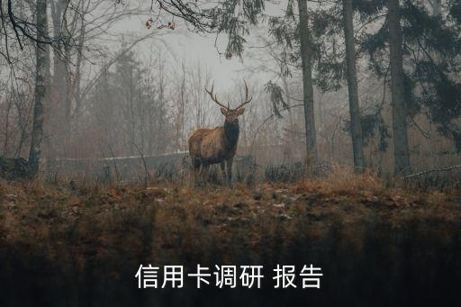 信用卡調(diào)研 報告