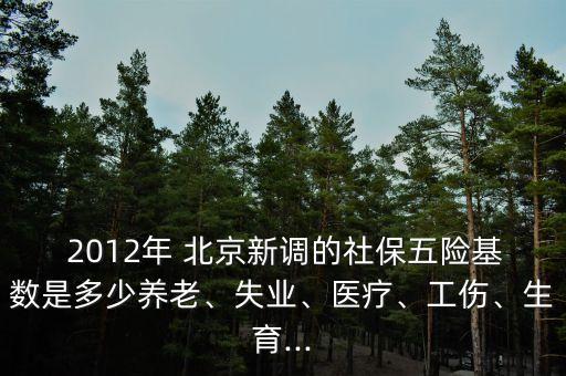  2012年 北京新調(diào)的社保五險基數(shù)是多少養(yǎng)老、失業(yè)、醫(yī)療、工傷、生育...