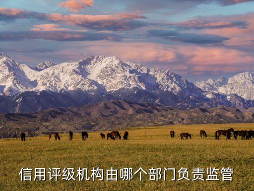 信用評級機(jī)構(gòu)由哪個部門負(fù)責(zé)監(jiān)管