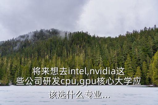 將來想去intel,nvidia這些公司研發(fā)cpu,gpu核心大學應(yīng)該選什么專業(yè)...