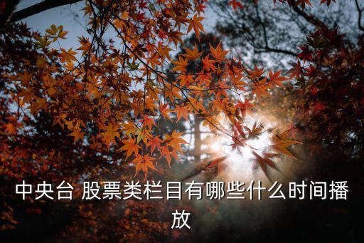 中央臺 股票類欄目有哪些什么時(shí)間播放