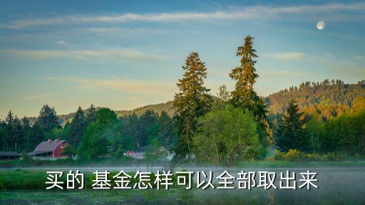 買(mǎi)的 基金怎樣可以全部取出來(lái)