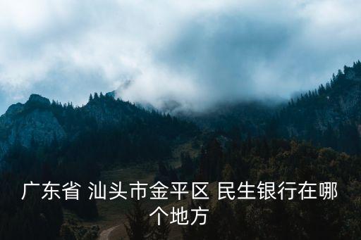 廣東省 汕頭市金平區(qū) 民生銀行在哪個(gè)地方