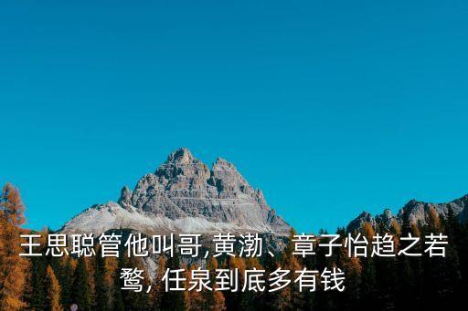王思聰管他叫哥,黃渤、章子怡趨之若鶩, 任泉到底多有錢