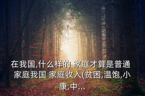 2015中國富裕家庭標準,富裕家庭的標準是什么