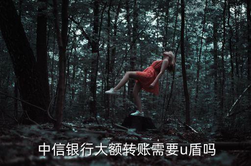  中信銀行大額轉賬需要u盾嗎