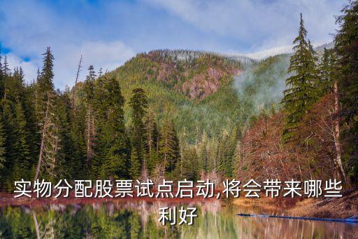 實(shí)物分配股票試點(diǎn)啟動(dòng),將會(huì)帶來(lái)哪些利好