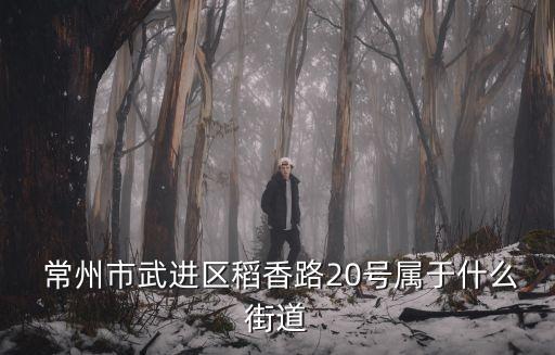  常州市武進(jìn)區(qū)稻香路20號屬于什么街道