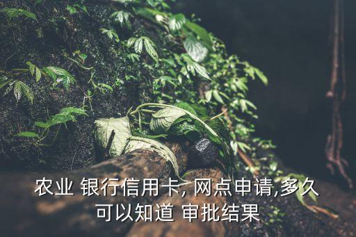 農(nóng)業(yè) 銀行信用卡, 網(wǎng)點(diǎn)申請,多久可以知道 審批結(jié)果