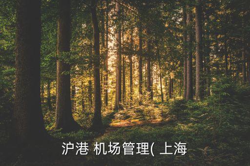 滬港 機(jī)場(chǎng)管理( 上海