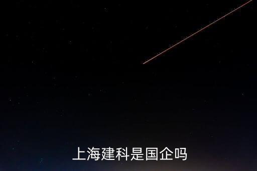 上海機場集團王吉杰圖片百度知道