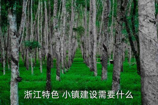 浙江特色 小鎮(zhèn)建設需要什么