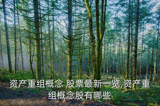 資產重組概念 股票最新一覽,資產重組概念股有哪些