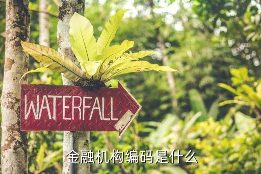 理財公司有金融機(jī)構(gòu)代碼證