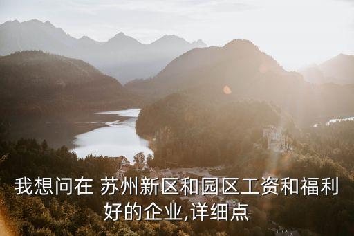 我想問(wèn)在 蘇州新區(qū)和園區(qū)工資和福利好的企業(yè),詳細(xì)點(diǎn)