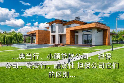 ...典當(dāng)行、小額貸款公司、 擔(dān)保公司、寄賣行、融資性 擔(dān)保公司它們的區(qū)別...