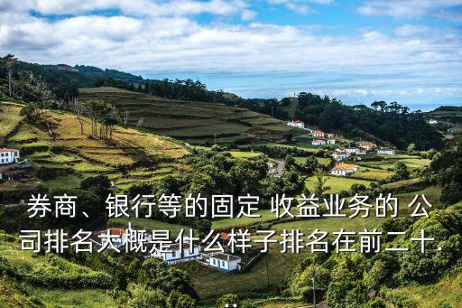 券商、銀行等的固定 收益業(yè)務(wù)的 公司排名大概是什么樣子排名在前二十...