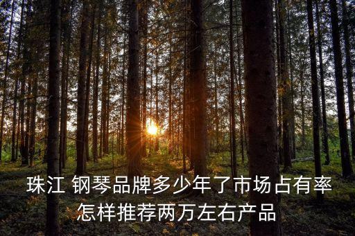  珠江 鋼琴品牌多少年了市場(chǎng)占有率怎樣推薦兩萬(wàn)左右產(chǎn)品