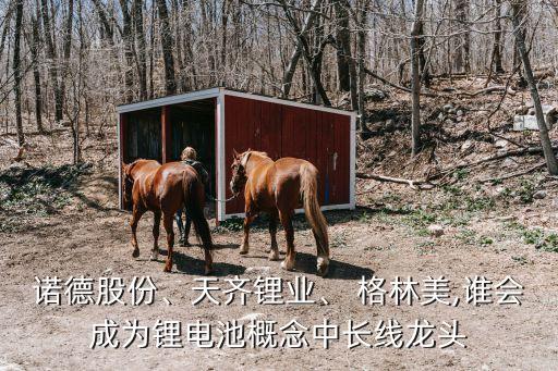 諾德股份、天齊鋰業(yè)、 格林美,誰會成為鋰電池概念中長線龍頭