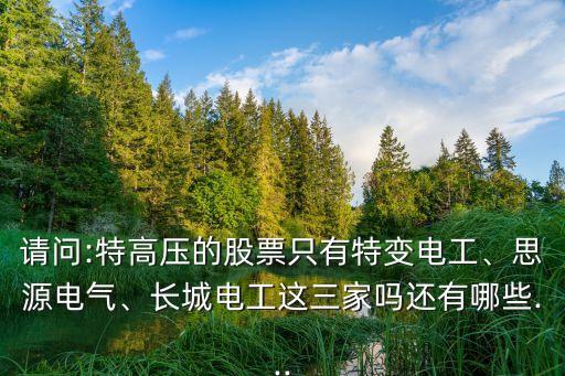 請問:特高壓的股票只有特變電工、思源電氣、長城電工這三家嗎還有哪些...
