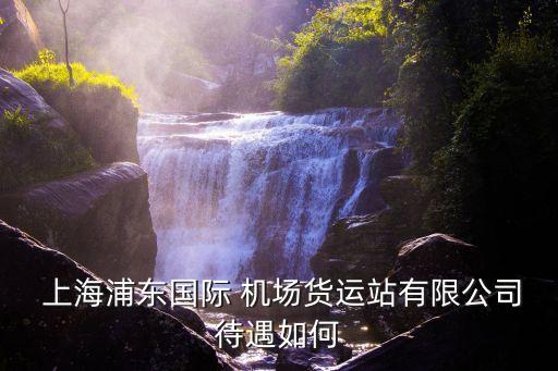  上海浦東國際 機(jī)場(chǎng)貨運(yùn)站有限公司待遇如何
