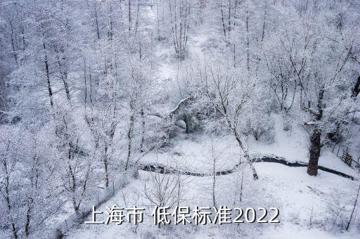  上海市 低保標準2022