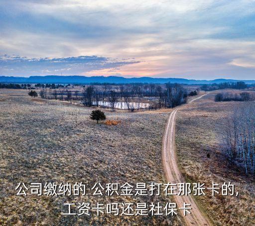 公司繳納的 公積金是打在那張卡的,工資卡嗎還是社?？? class=