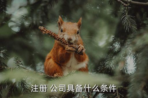 注冊個(gè)像三全這樣的公司需要什么