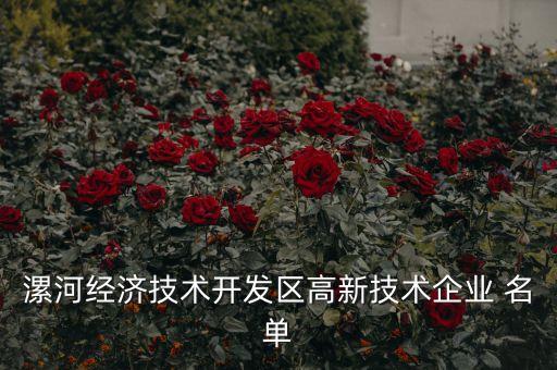 漯河經(jīng)濟(jì)技術(shù)開(kāi)發(fā)區(qū)高新技術(shù)企業(yè) 名單