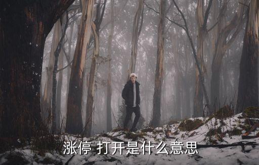 股票反復(fù)打開(kāi)漲停說(shuō)明什么,股票漲停后反復(fù)打開(kāi),封單撤了又封