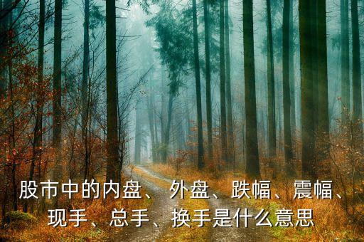 股市中的內(nèi)盤、 外盤、跌幅、震幅、現(xiàn)手、總手、換手是什么意思