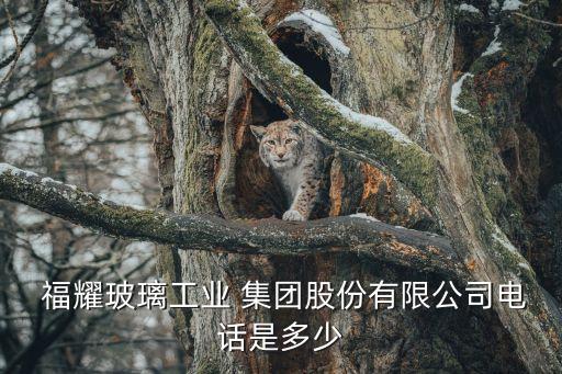 福耀集團(tuán)部門,長春福耀集團(tuán)哪個(gè)部門好
