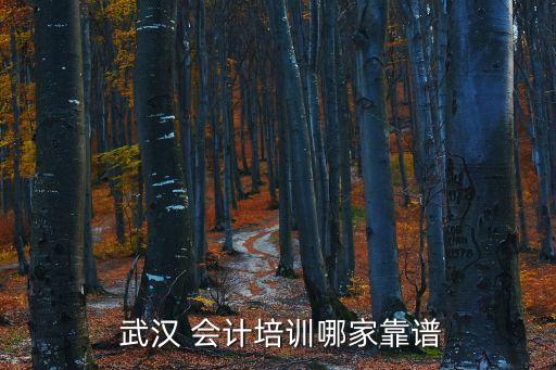  武漢 會計培訓哪家靠譜