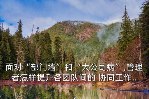 面對(duì)“部門(mén)墻”和“大公司病”,管理者怎樣提升各團(tuán)隊(duì)間的 協(xié)同工作...