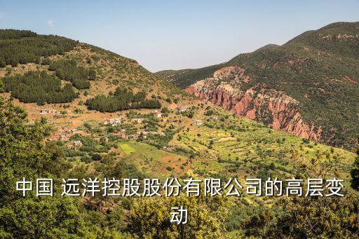 中國(guó)遠(yuǎn)洋報(bào)銷制度