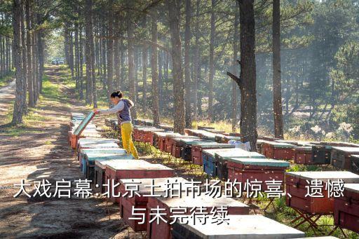 大戲啟幕:北京土拍市場的驚喜、遺憾與未完待續(xù)