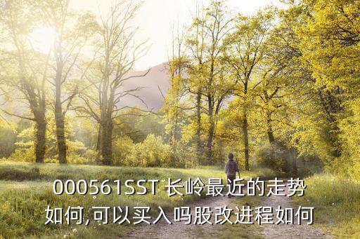 000561SST 長(zhǎng)嶺最近的走勢(shì)如何,可以買(mǎi)入嗎股改進(jìn)程如何