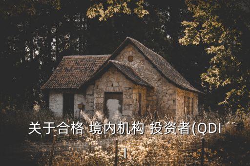 關于合格 境內機構 投資者(QDII