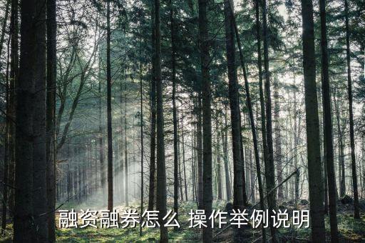  融資融券怎么 操作舉例說(shuō)明