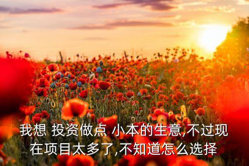小本投資理財(cái)渠道,投資理財(cái)?shù)那烙泻芏?包括