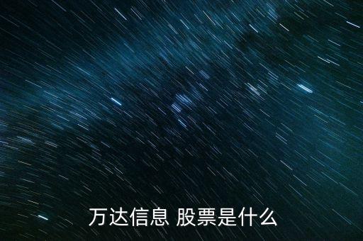  萬(wàn)達(dá)信息 股票是什么