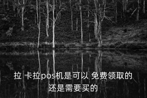 什么銀行能免費(fèi)領(lǐng)拉卡拉,現(xiàn)在什么銀行辦理ETC免費(fèi)
