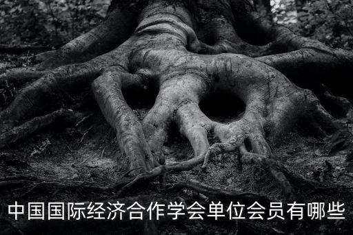 中國國際經(jīng)濟合作學(xué)會單位會員有哪些