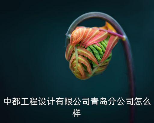 中都工程設計有限公司青島分公司怎么樣
