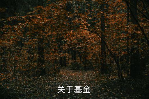 關于基金