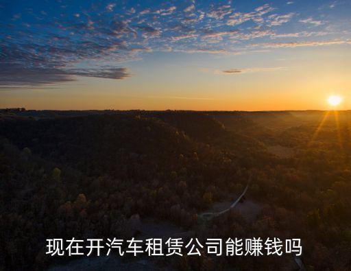現(xiàn)在開汽車租賃公司能賺錢嗎