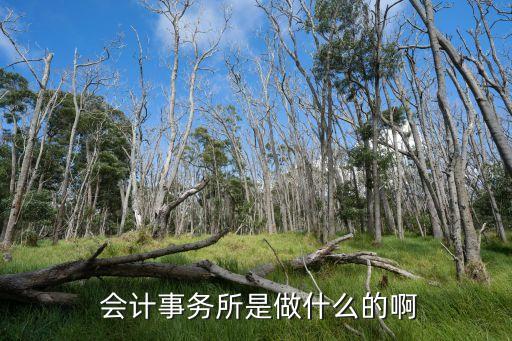  會計事務所是做什么的啊
